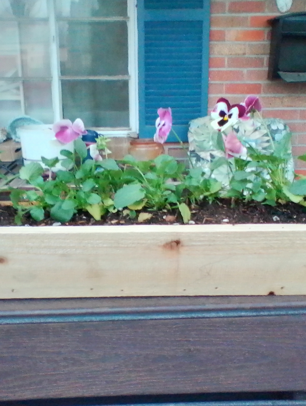 LAST-MINUTE MOTHER’S DAY GIFT IDEA - Picture 2 of 3
